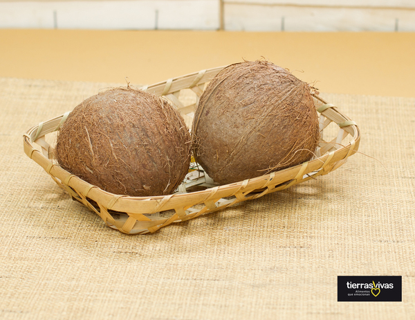 Coco Ecológico (pieza)