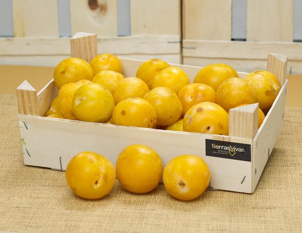 Ciruela Blanca Ecológica (500 gr)