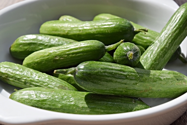 Pepino Snack Ecologico (250 gr) ¡NOVEDAD!