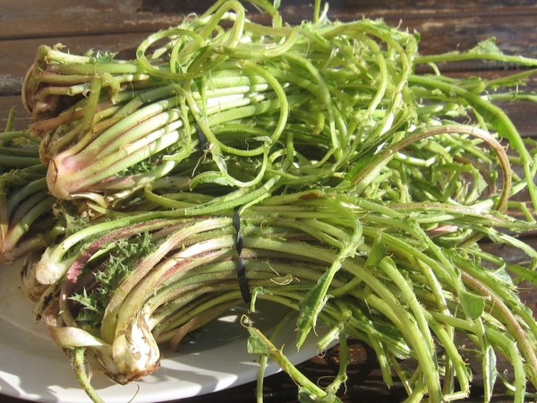 Cardillos Ecológicos (Manojo, 750 gr)