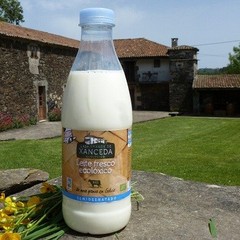 Leche Fresca de Vaca Semi Ecológica "Casa Grande de Xanceda" (1 L)