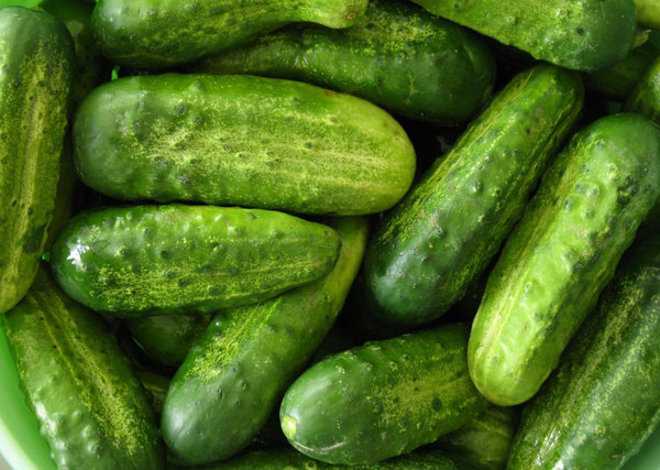 Pepino Corto Ecológico (500 gr)