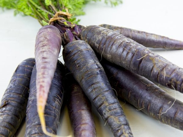 Zanahoria Morada Ecológica (kg)