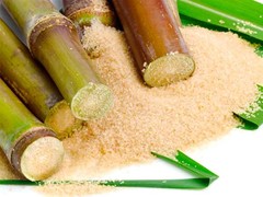 Azúcar de caña ecológico Rincon de Segura (kg, granel)