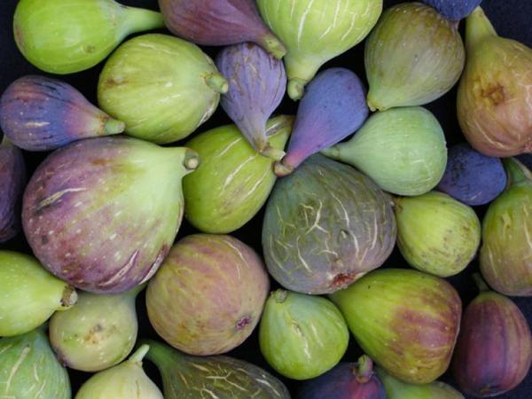 Higos Ecológicos (500 gr)