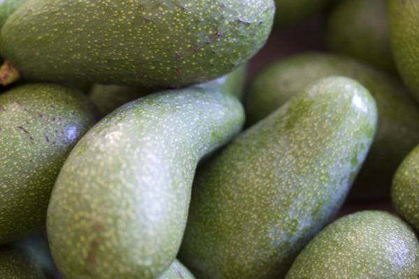 Aguacate Pinkerton Ecológico (kg)