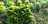 Whatsapp image 2019 10 07 at 10.13.58