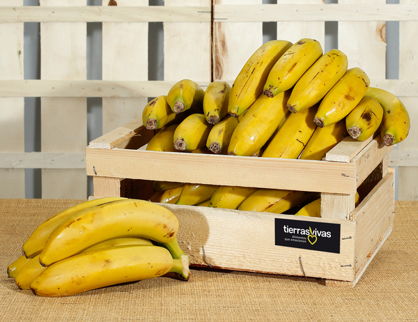 Plátano Ecológico de Canarias (500 gr) POCA DISPONIBILIDAD