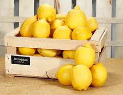 Limón Ecológico (500 gr)