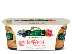 Kefir Con Frutas Del Bosque Ecologico Xanceda 2X125 Grs