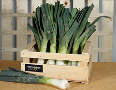 Puerro Largo Ecológico (500 gr) 