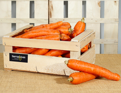 Zanahoria Lavada Ecológica (500 gr) 