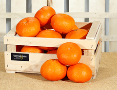 Mandarina Clementina Ecológica (500 gr)