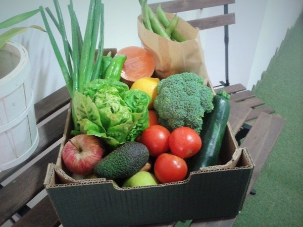 Eco-cesta "Fruta + Verdura"