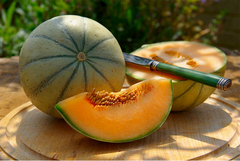 Melón Cantalupo Ecológico (pieza 0.6 kg)